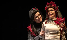 تصاویر شگفت‌انگیز از نمایش هم این هم آن که همه را شوکه کرد!