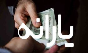 خبر فوری / چرا یارانه برخی از خانوارها کم شد ؟! / حسینی چه گفت ؟!