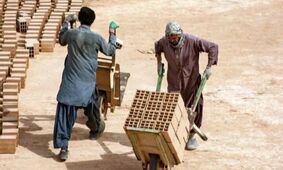 پلیس وارد عمل شد / شوک بزرگ به افغانستانی‌ها !