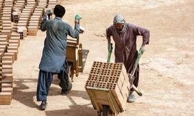 پلیس وارد عمل شد / شوک بزرگ به افغانستانی‌ها !