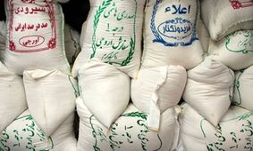 بررسی قیمت انواع برنج ایرانی در مهرماه ۱۴۰۴: جدول دقیق هاشمی، طارم و شیرودی