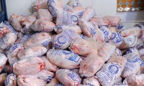 سیر نزولی قیمت مرغ / تهرانی ها کجا ارزان تر خرید کنند؟