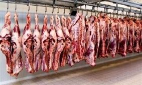 خبر خوش برای خریداران گوشت قرمز/ ارزانی در راه است!