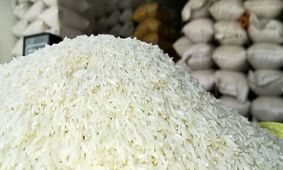 نماینده مجلس می‌گوید/ کاهش قیمت برنج ایرانی خطرناک است، باید گران‌تر باشد!
