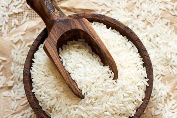کیسه ۱۰ کیلویی برنج هاشمی باکیفیت را چند بخریم؟ 
