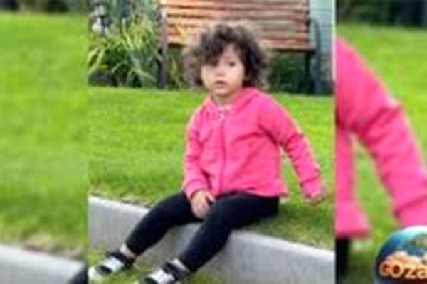 راز بزرگ تزئین درخت کریسمس با دستان کوچک نبات استخری! + فیلم