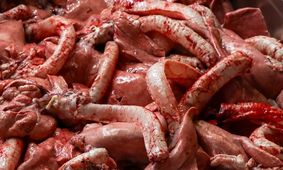 جدیدترین قیمت گوشت قرمز در بازار اعلام شد + جدول