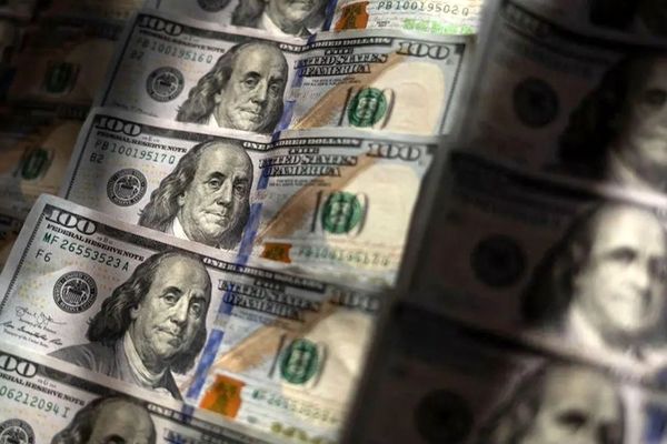 قیمت دلار امروز سه شنبه 14 بهمن 1404