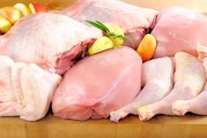  تولیدکنندگان مرغ معترضند 