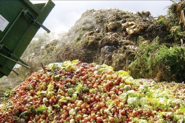 غذای این 15 میلیون نفر کجا می رود؟