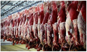 جدیدترین قیمت دام زنده و گوشت قرمز در بازار