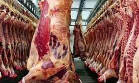 طرح جدید لیبل گذاری لاشه‌های گوشت 