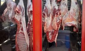 قیمت گوشت امروز ۱۳ آذر ۱۴۰۴ + جدول