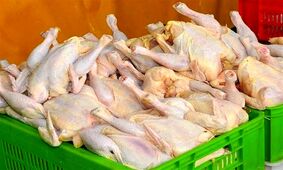 آزادسازی صادرات مرغ با عوارض صفر / بازار داخلی اشباع شده یا گرانی در راه است؟