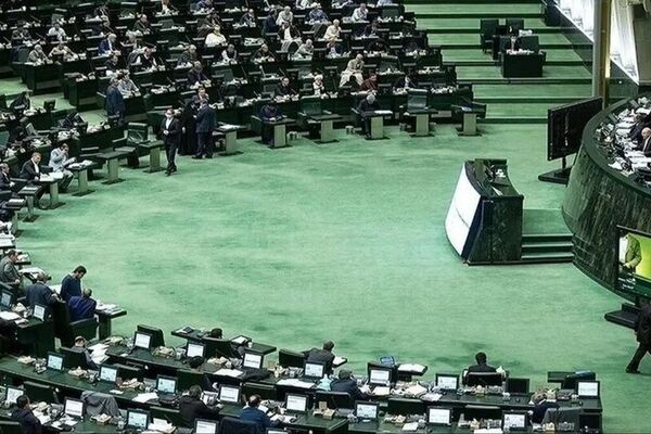 فریاد جنجالی نماینده مجلس: گرانی روغن و تخم‌مرغ علت اصلی انفجار معیشت!