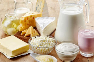 شیر نایلونی هم پرواز کرد