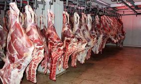 عرضه گوشت قرمز ارزان از فردا در میادین میوه و تره بار