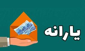  یارانه جدید در راه است؟ / جزئیات احتمال افزایش مبلغ کالابرگ از زبان نماینده مجلس 