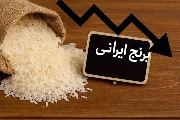 گرانی برنج؛ خرید کیلویی یا کیسه‌ای؟ انتخابی که دیگر ممکن نیست!
