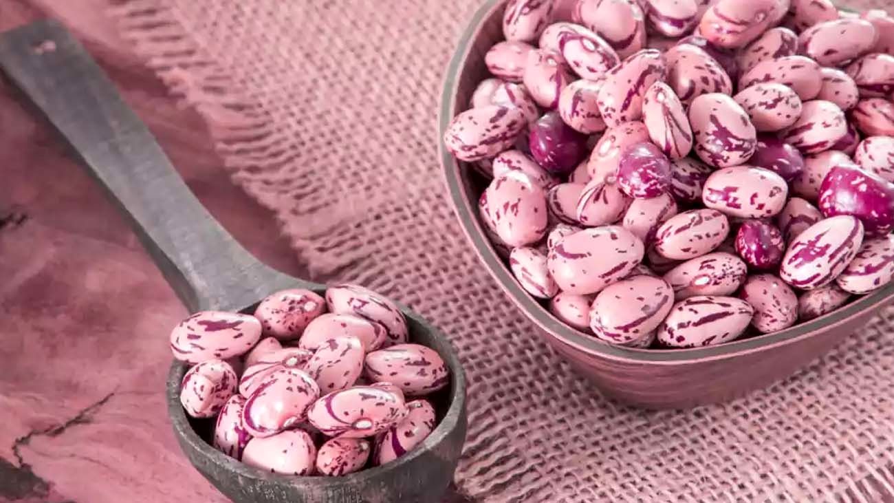 پشت پرده گرانی لوبیا چیتی فاش شد + جزییات