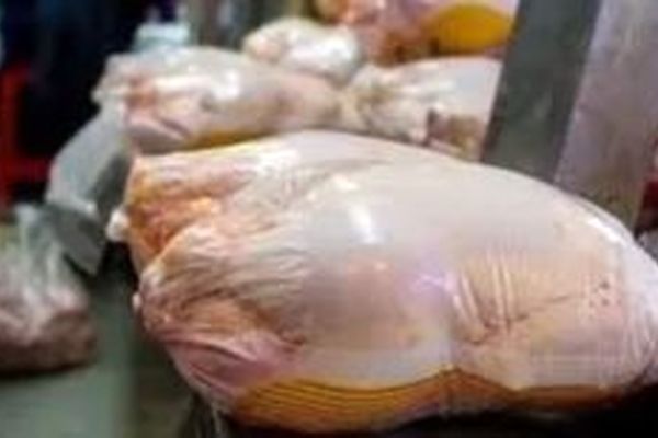 مرغ؛ سلطان سفره‌های ایرانی با سهم ۹۷ درصدی!