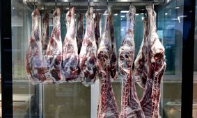 قیمت روز گوشت قرمز ۳۰ فروردین ۱۴۰۴ / ماهیچه ران گوسفندی ارزان شد +جدول