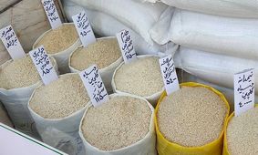 جنجال تأمین برنج در کشور؛ دعوای بزرگ بانک مرکزی و انجمن تأمین‌کنندگان!