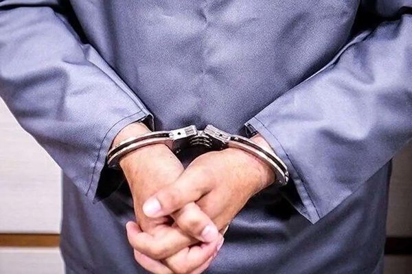 عملیات پلیس علیه شرکت های هرمی / ۶۱ نفر در دام قانون افتادند +جزییات