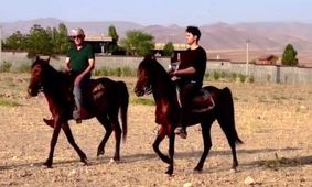 شوکه‌کننده‌ترین پشت‌صحنه بامداد خمار؛ دانیال پورصباح جنتلمن‌ترین چهره سال؟ + فیلم