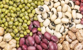 صادرات حبوبات؛ درد کوتاه‌مدت یا دردسر بلندمدت؟