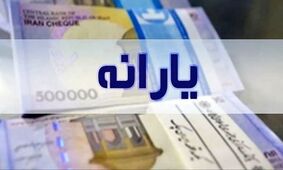 واریز یارانه ویژه به حساب این افراد / مشمولین چه کسانی هستند؟ 