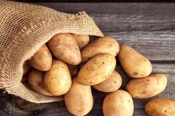 قیمت سیب‌زمینی پایین آمد؛ علت چه بود؟