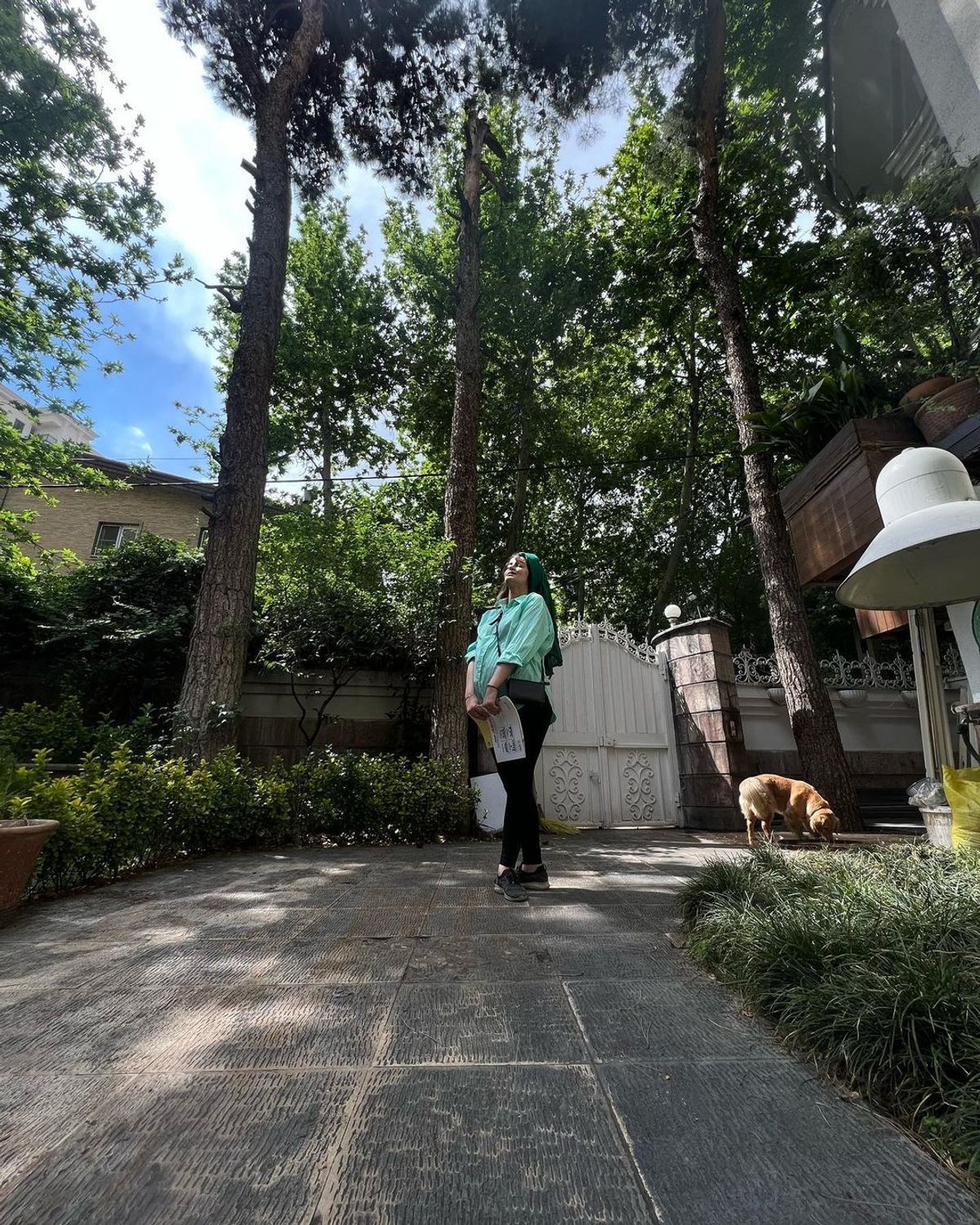 نیلوفر پارسا