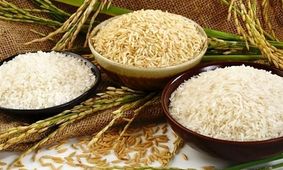 قیمت روز انواع برنج وارداتی مهر ۱۴۰۴ / برنج درجه یک خارجی با چه قیمتی عرضه می‌شود؟