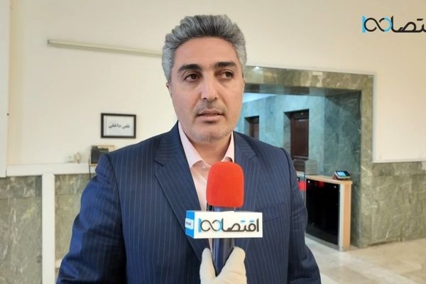 اف.ای.تی.اف بعد فنی،حقوقی و امنیتی دارد/ نمایندگان نمی توانند نظر شخصی بدهند +فیلم