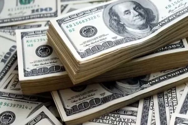 قیمت یورو و دلار امروز چهارشنبه ۲۴ دی ۱۴۰۴ 