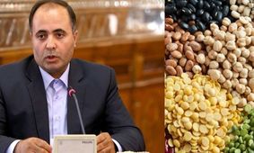 وزیر کشاورزی؛ افزایش قیمت‌ها منطقی و توجیه‌پذیر است! +فیلم