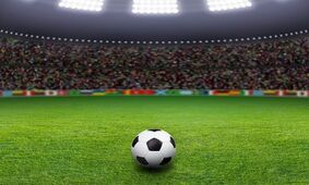 ببینید / سلفی معنی‌دار یک پرسپولیسی در کنار الناز شاکردوست !