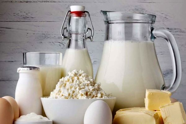 قیمت لبنیات باز هم گران شد