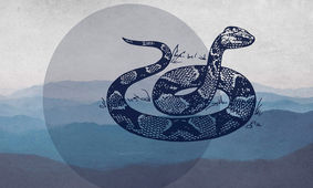 واقعیتی تلخ از مرگ غم انگیز یک مادر / نوزادی که زنده زنده مادرش را خورد !