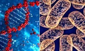 معرفی ژنی برای شناسایی گونه های مختلف در تحقیقات جانوری