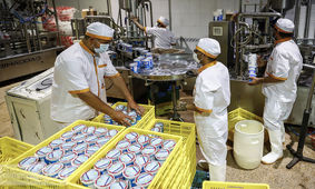 شرکت‌ های لبنیاتی به پرداخت بیش از 140 میلیارد تومان جریمه محکوم شدند