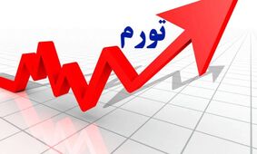 آمار واقعی تورم فاش شد؛ افشاگری عجیب یک نماینده مجلس