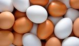 هر شانه تخم مرغ به چند تومان رسید؟