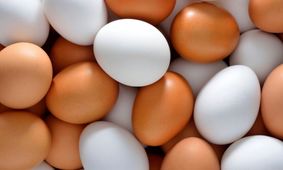 قیمت هر شانه تخم مرغ در بازار اعلام شد