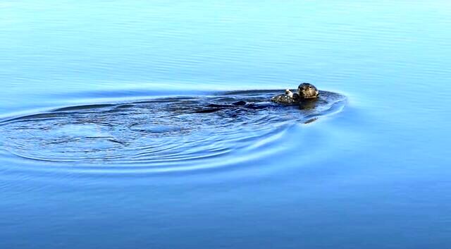 برترین تصاویر علمی ماه از نگاه مجله «نیچر»