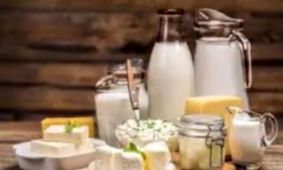 وضعیت نگران‌کننده در بازار لبنیات؛ گرانی تازه‌ای در راه است؟