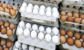 قیمت تخم مرغ به ۵۴ هزار تومان پر کشید!