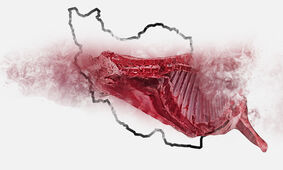 سقوط آزاد مصرف گوشت در ایران