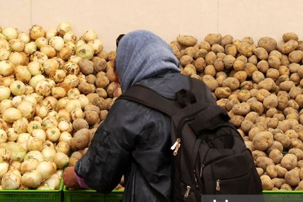 قیمت سیب‌زمینی ارزان شد! + جزییات